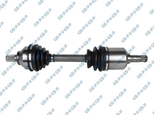 GSP-218290
