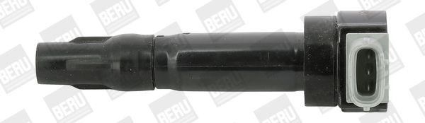 BER-ZS547