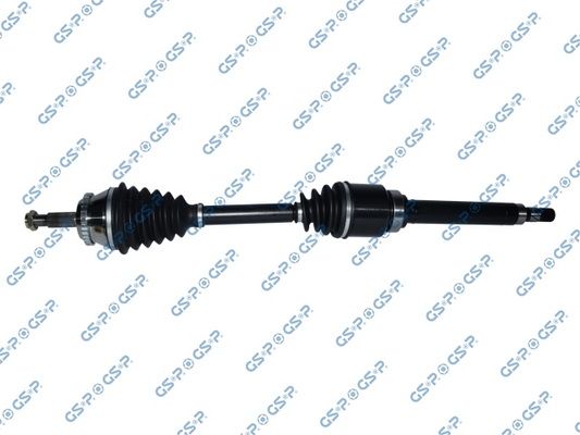 GSP-250099