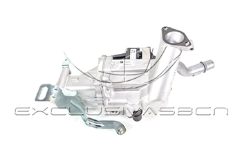 EEG-CP14
