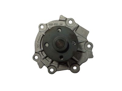 AIS-WV010