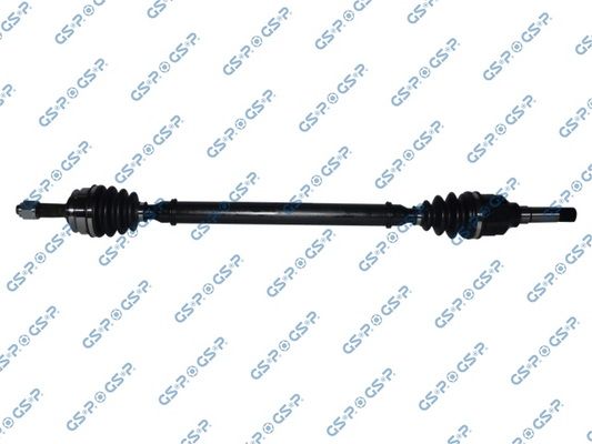 GSP-210339