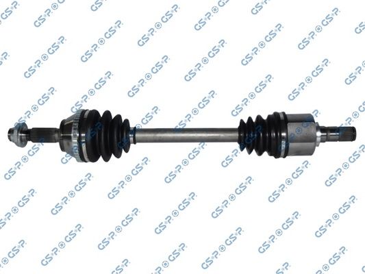 GSP-218231