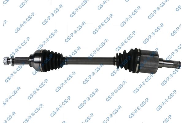 GSP-218334