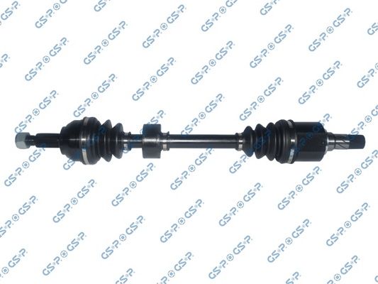 GSP-218197