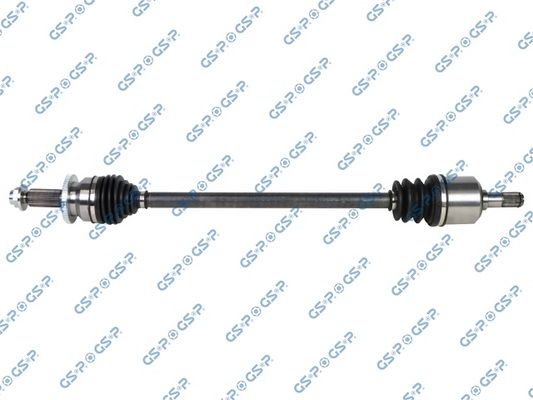 GSP-224554