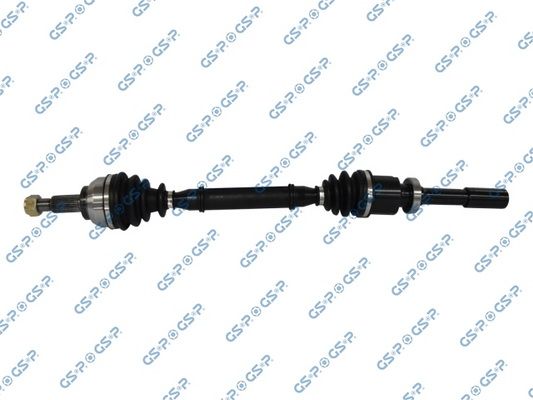 GSP-250219