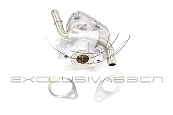 EEG-FO16