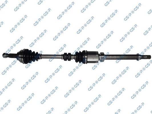 GSP-241301