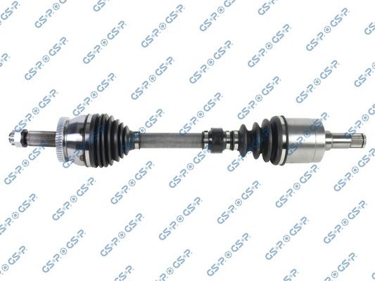 GSP-224195