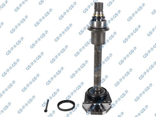 GSP-203383