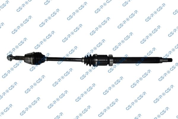 GSP-218517