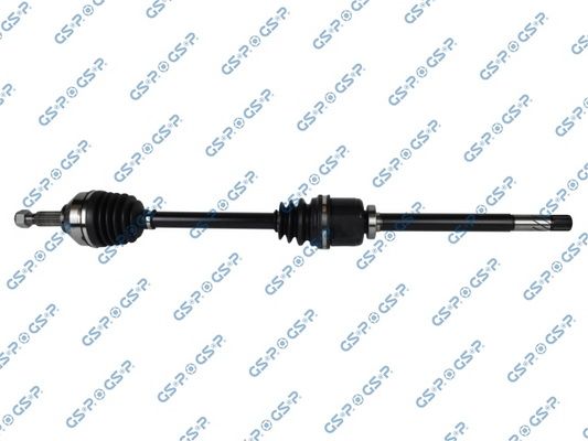 GSP-218271