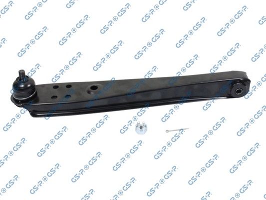 GSP-S060981