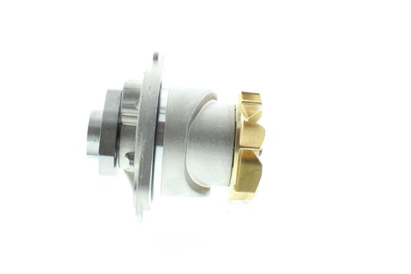 AIS-WEVW24
