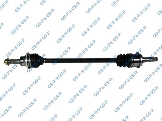 GSP-239303