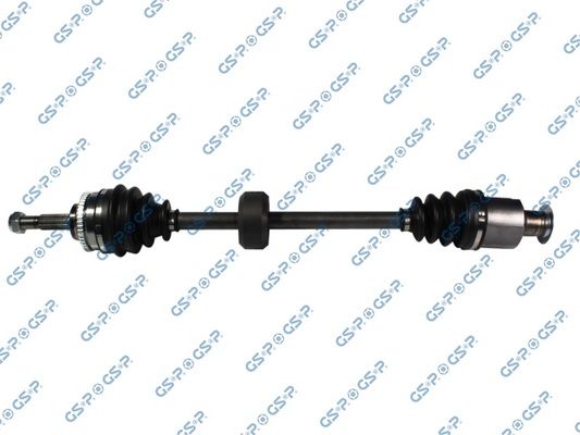 GSP-250263