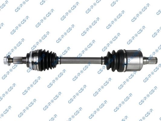 GSP-218440