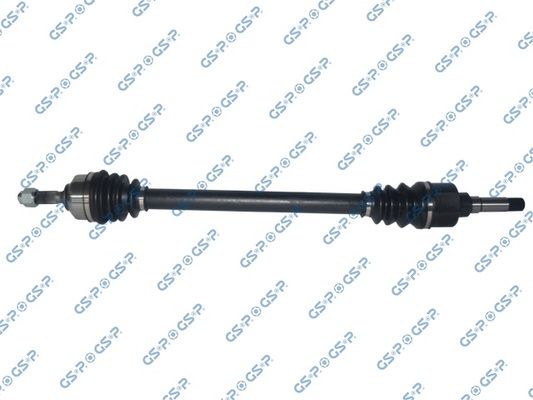 GSP-210242