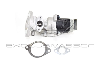 EEG-LR05