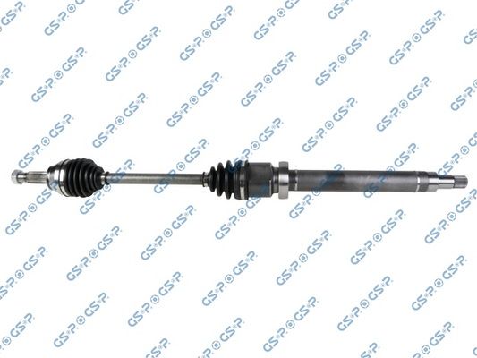 GSP-218201