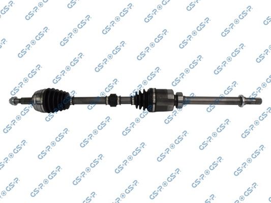 GSP-250586