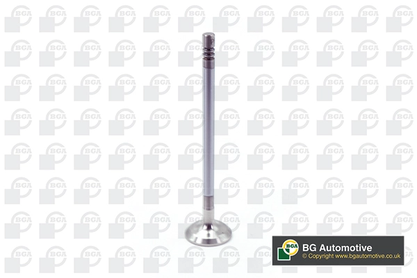 V203633