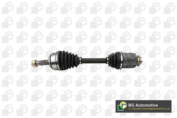 DS2511RA