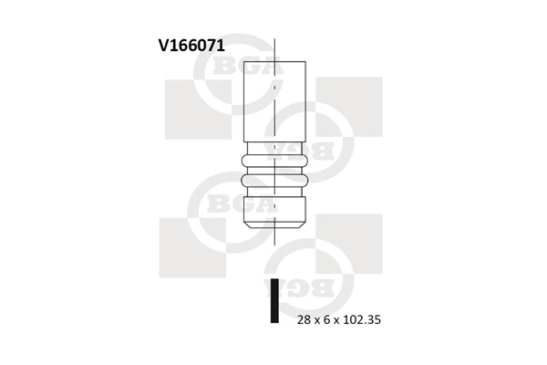 V166071