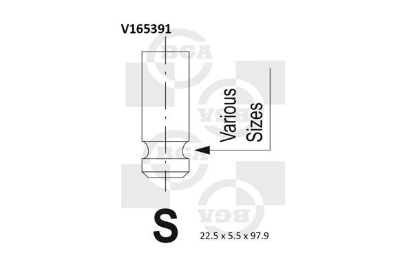 V165391