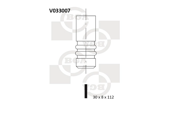 V033007