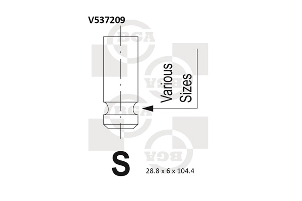 V537209