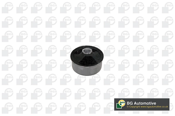 48068-05070-Bush