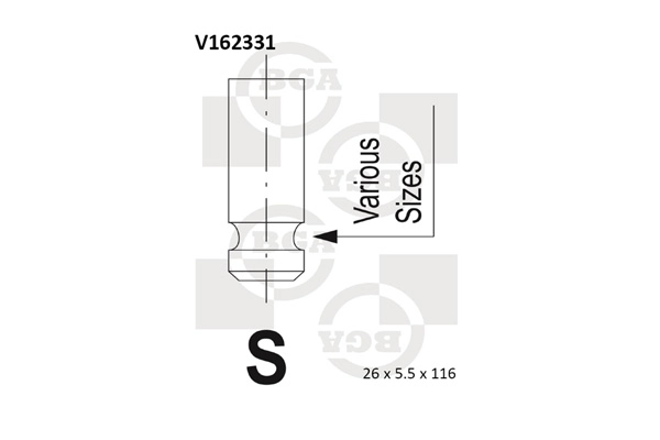V162331