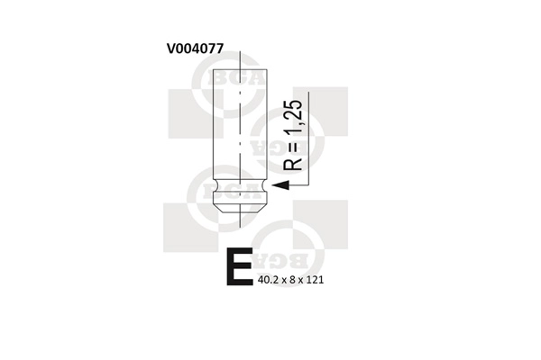 V004077
