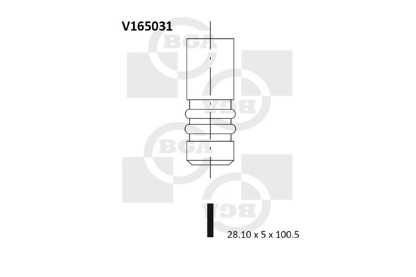 V165031