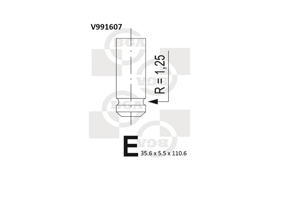 V991607