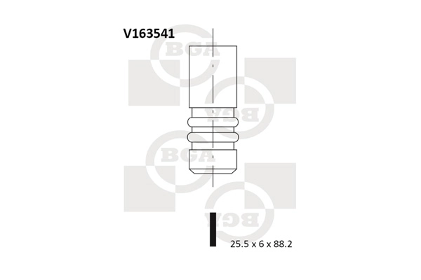 V163541