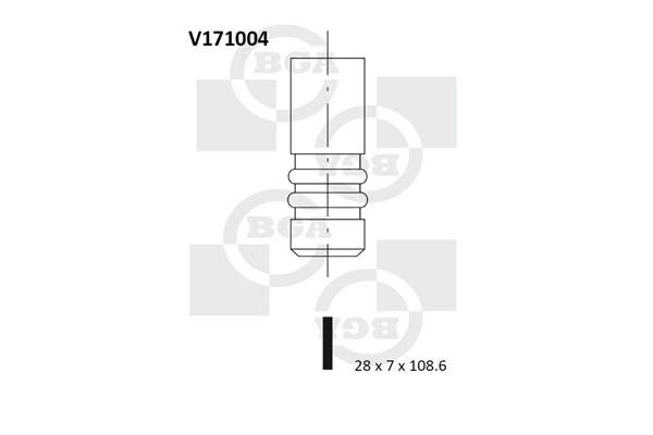 V171004