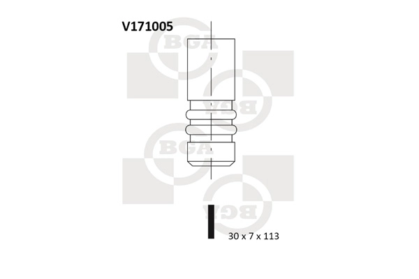 V171005