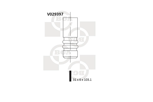 V029397