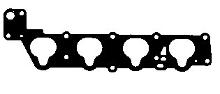 MG5568