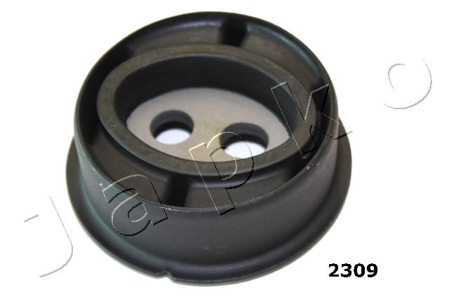 GOJ2309
