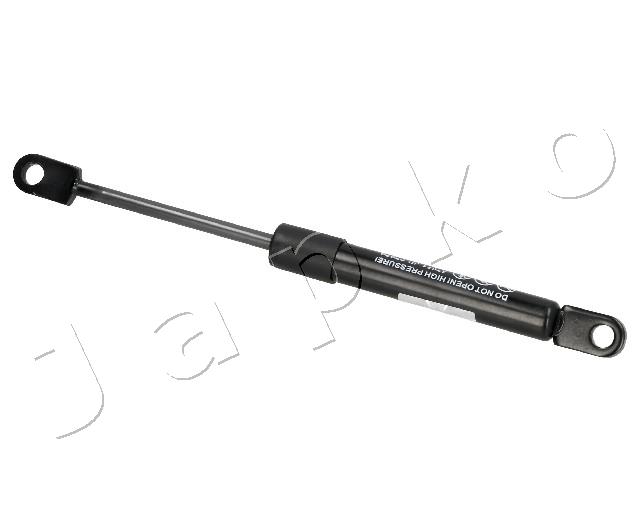 ZSJ07070