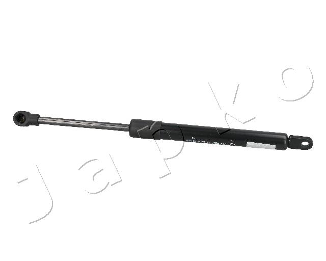 ZSJ09091