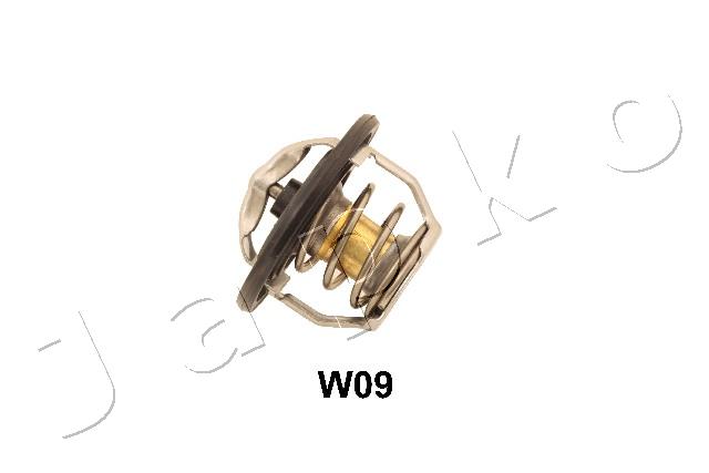 38W09