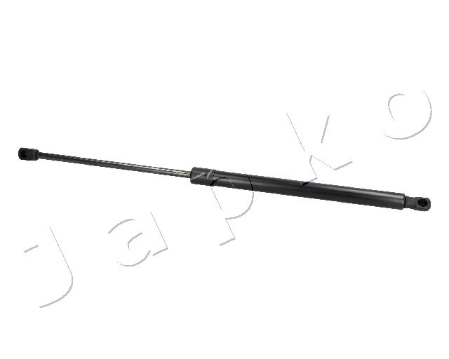 ZSJ09173