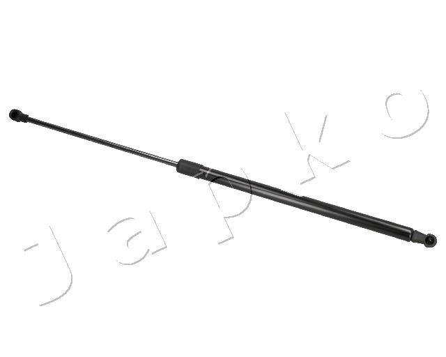 ZSJ07055