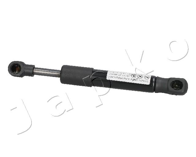 ZSJ09111