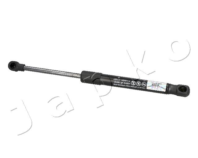 ZSJ09121